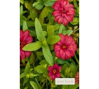 Quiet Field Where Bright Moments Bloom: A Gentle Notebook for Joyful Writing, Reflection, and Everyday Growth