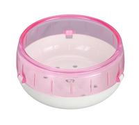 Quiet Hamster Exercise Wheel | Noiseless Running Wheel for Hamsters/Golden Bears/Sugar Gliders | Stable Platform Promotes Wholesome Habits | Sturdy Plastic, Easy to Maintain