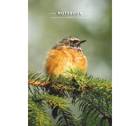 Quiet Presence Lined Notebook: 120 Pages Inspirational Writing Journal for Gratitude, Mindfulness, and Self-Reflection