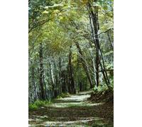 Quiet Road Prayer Journal: The inside features a Signature Page, and the Bible verse, "Pray without Ceasing" at the top of each of the 126 lined and numbered pages.