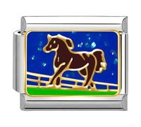 Quiges - Módulo de encanto de 9 mm de estilo italiano con caballo de acero inoxidable para pulseras italianas, Cobre, No es una piedra preciosa