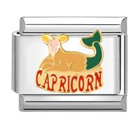 Quiges - Módulo de encanto de 9 mm estilo italiano con Horóscopo Capricornio de acero inoxidable para pulseras italianas Acero inoxidable