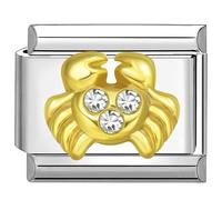 Quiges - Módulo de encanto de estilo italiano de 9 mm de acero inoxidable con circonia cúbica horóscopo cáncer para pulseras italianas, Zirconia cúbica