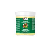 Quiko Spirulina 250g - Proteínas y aminoácidos Naturales para Aves de compañía, Palomas de Carreras y Pollos - Favorece la Flora intestinal y refuerza la Resistencia