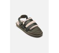 Quiksilver AFTER SESSION MULE 41 Verde