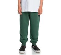 Quiksilver Age of Blue Slim Pant YTH Chándal, Forest, Estándar para Niños