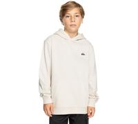 Quiksilver - Basic Hoodie Jersey de Forro Polar - Niño