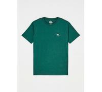 Quiksilver Basic Ss Tee Youth 12A Verde