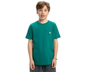 Quiksilver, Basicscreenssyt Camiseta de Manga Corta, Niño, 10 años, Teal Green