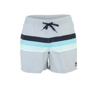 QUIKSILVER Bermudas 'EVERYDAY VOLLEY' azul claro / gris claro / verde claro / negro XL azul claro / gris claro / verde claro / negro