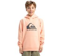 Quiksilver - Big Logo Hoodie Jersey de Forro Polar - Niño