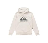 Quiksilver - Big Logo Hoodie Jersey de Forro Polar - Niño