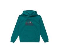 Quiksilver - Big Logo Hoodie Jersey de Forro Polar - Niño
