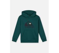 Quiksilver Big Logo Hoodie Youth EQBFT03925 8A Verde