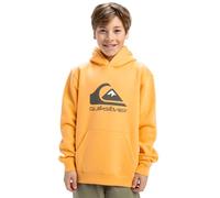Quiksilver Big Logo - Sudadera con Capucha - Niños 8-16 años - Naranja.