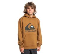 Quiksilver Big Logo - Sudadera con Capucha - Niños 8-16 - Marrón.