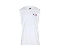CAMISETA QUIKSILVER EV QUIKGLOBE MU HOMBRE L