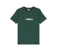 Quiksilver Camiseta Ev Fineline SS para niño, Verde Trekking, 8 años