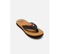 Quiksilver CARVER SQUISH 26 39 Beige