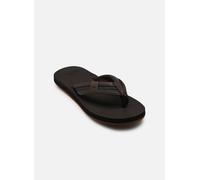 Quiksilver Chanclas CARVER SUEDE CORE in Marrón 41