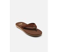 QUIKSILVER Sandalias de dedo 'CARVER' marrón 41-41,5 marrón