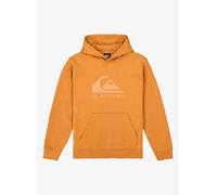 Quiksilver - Sudadera de Forro Polar con Capucha (16), Color marrón