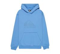 Quiksilver Comp Logo Hoodie Youth - Sudadera con Capucha para niño (Paquete de 1)