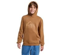 Quiksilver Comp Logo Hoodie Youth - Sudadera con Capucha para niño (Paquete de 1)