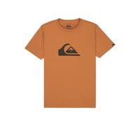 Quiksilver EV Comp - Camiseta de Manga Corta con Logo SS Youth para niño, 8-16 años, Color marrón
