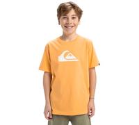 Quiksilver, Ev Comp Logo Camiseta de Manga Corta, Niño, 16 años, Chamois