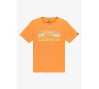 Quiksilver Ev Light Waves Ss Youth 14A Naranja