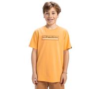 Quiksilver, Ev Sun Dagger Camiseta de Manga Corta, Niño, 14 años, Chamois