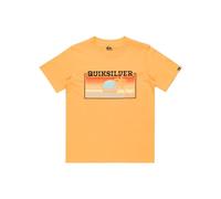 Quiksilver, Ev Sun Faded Camiseta de Manga Corta, Niño, 16 años, Chamois