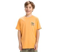 Quiksilver EV Sunny Palms SS YTH Camiseta, Chamois, 16 años Niños