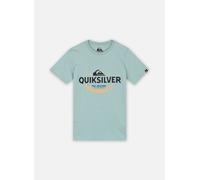 Quiksilver, Ev Typed out Camiseta de Manga Corta, Niño, 10 años, Aquifer