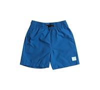 Quiksilver Everyday 13" - Short de Natación para Chicos 2-7