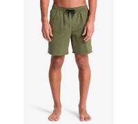 Quiksilver Everyday Clicker Volley 17 M Verde