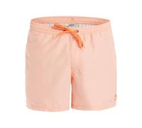 Quiksilver Everyday Deluxe Volley 15 Pantalones Cortos, marrón, Medium para Hombre