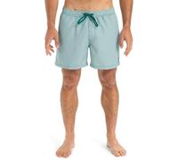Quiksilver Everyday Deluxe Volley 15 Pantalones Cortos, Teal Green, Extra-Large para Hombre