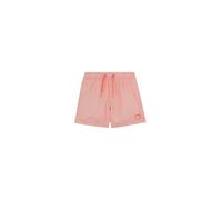 Quiksilver Everyday Deluxe Volley YTH 14 Pantalones Cortos, Coral ardiente, 16 años para Niños