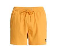 Quiksilver Everyday Flex Volley 15 - Bañador para Hombre, Color Amarillo