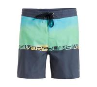 Quiksilver Everyday Half Jam 16 Pantalones Cortos, Summer Green WORDBLOCK, 38 para Hombre
