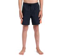 Quiksilver Everyday Volley Yth14 Pantalones Cortos, Black Holmes, 8 años para Niños