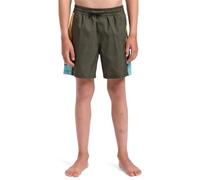 Quiksilver Everyday Holmes Volley Yth14 Pantalones Cortos, Hoja de UVA, 8 años para Niños