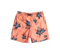 Quiksilver Everyday Mix 14" - Short de Natación para Chicos 8-16