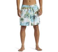Quiksilver Everyday Mix 17" Bañador, Blue Green, XS para Hombre
