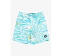 Quiksilver Everyday Printed Volley Yth 14 8A Azul
