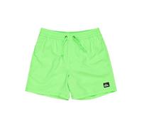 Quiksilver Everyday Solid Volley YTH 14 Pantalones Cortos, Gecko Verde, 16 años para Niños