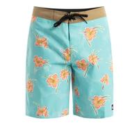 Quiksilver Everyday Straight 20 Pantalones Cortos, Marine Blue BACKYARDS, 33 para Hombre