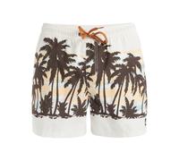 Quiksilver Everyday Straight Volley 15 Pantalones Cortos, Abedul Tropicamo, L para Hombre